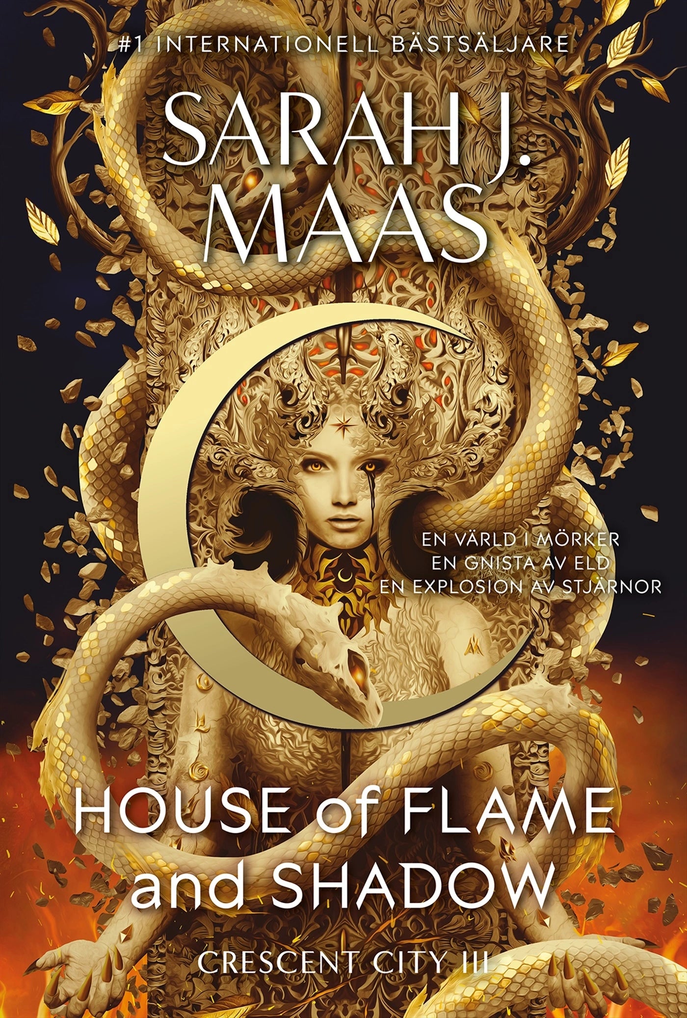 House of Flame and Shadow (Svensk utgåva) (Pocket)