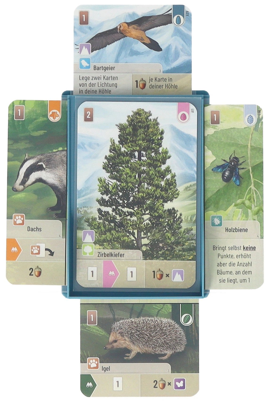 5 pcs set Feldherr card tray for Forest Shuffle - Tree Cards