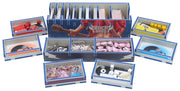 Rock Hard 1977 COLOUR INLAY Set