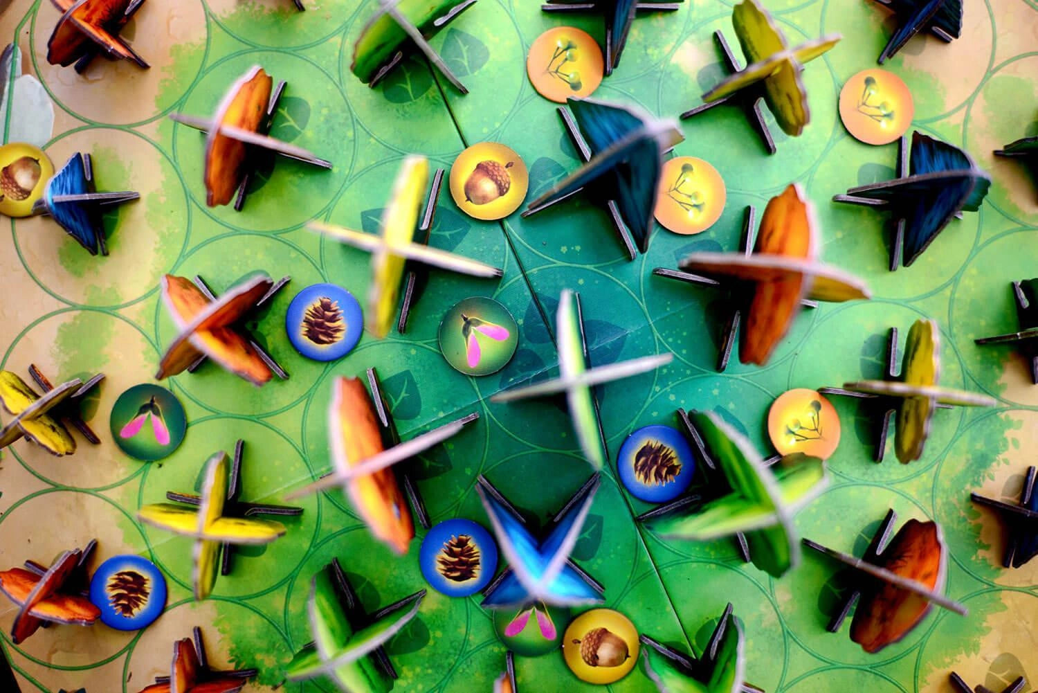 Photosynthesis (Svensk Utgåva)