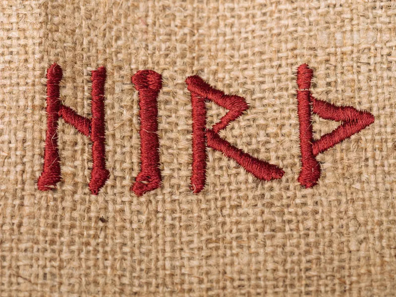 HIRÞ: The Viking Game of Royal Conflict (Hird)