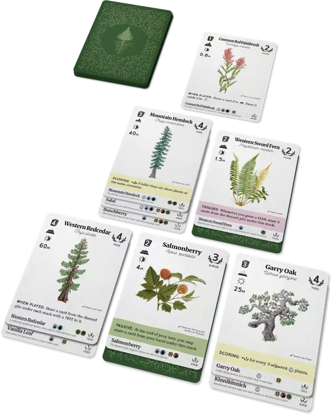 Reforest: Plants of the Pacific Northwest Coast