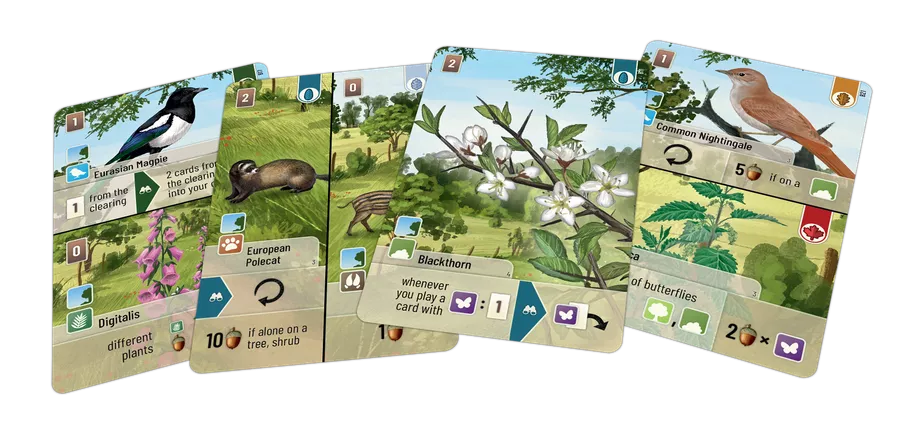 Forest Shuffle: Woodland Edge