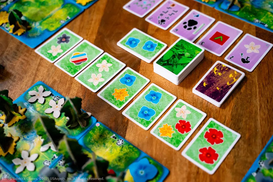 HUTAN: Life in the Rainforest (Engelsk Utgåva)