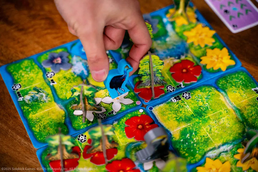 HUTAN: Life in the Rainforest (Engelsk Utgåva)