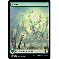 Forest (Borderless) (Foil)