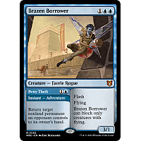 Brazen Borrower // Petty Theft