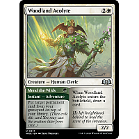 Woodland Acolyte // Mend the Wilds