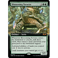 Blossoming Tortoise (Extended Art)