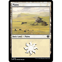 Plains