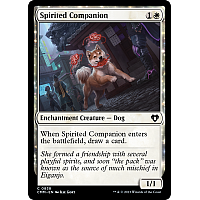 Spirited Companion