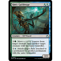 Simic Guildmage (Foil)