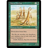 Karoo Meerkat