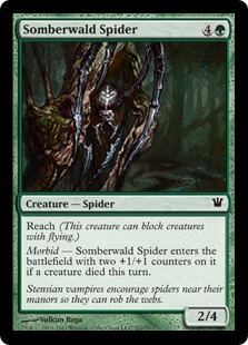 Somberwald Spider_boxshot