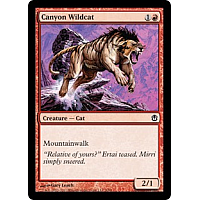 Canyon Wildcat