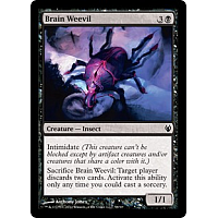 Brain Weevil