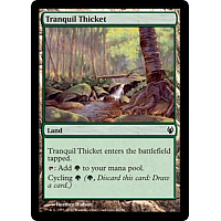 Tranquil Thicket