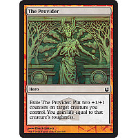 The Provider