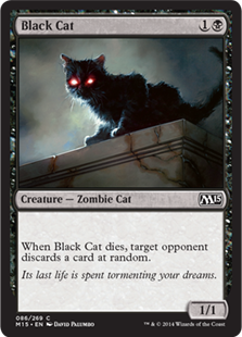 Black Cat_boxshot