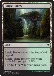Jungle Hollow_boxshot