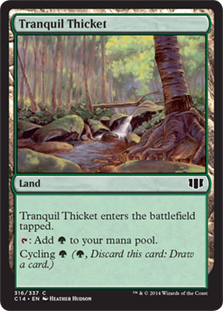 Tranquil Thicket_boxshot