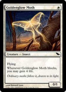 Goldenglow Moth_boxshot