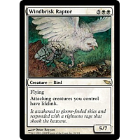 Windbrisk Raptor