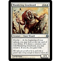 Wandering Graybeard