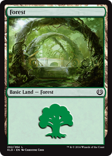 Forest_boxshot