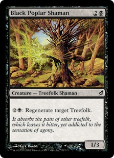 Black Poplar Shaman_boxshot