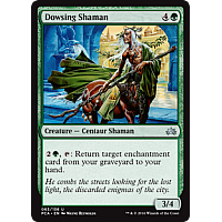 Dowsing Shaman