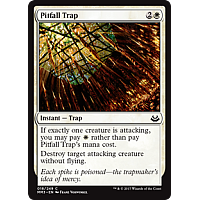Pitfall Trap