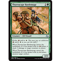 Thornscape Battlemage