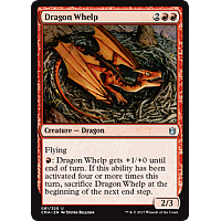 Dragon Whelp