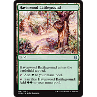 Havenwood Battleground