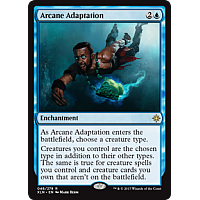 Arcane Adaptation (Foil)