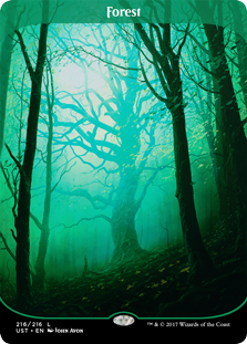Forest (Full art) (Foil)_boxshot
