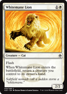 Whitemane Lion_boxshot
