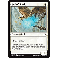 Healer's Hawk