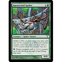 Aquastrand Spider