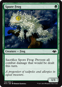 Spore Frog_boxshot