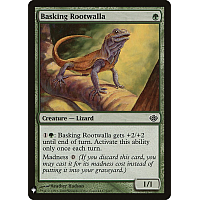 Basking Rootwalla