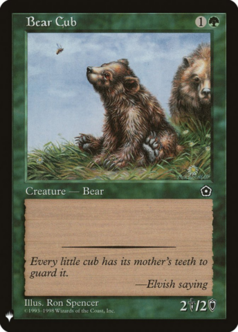 Bear Cub_boxshot
