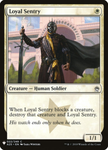 Loyal Sentry_boxshot