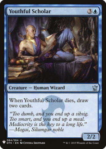 Youthful Scholar_boxshot