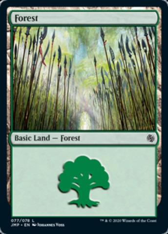 Forest_boxshot