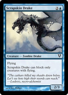 Scrapskin Drake_boxshot