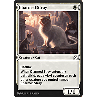 Charmed Stray