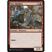 Nest Robber