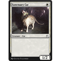 Sanctuary Cat